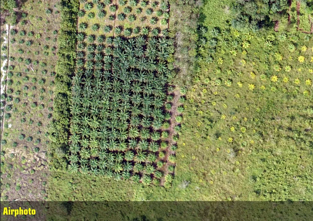 Drone Airphoto
